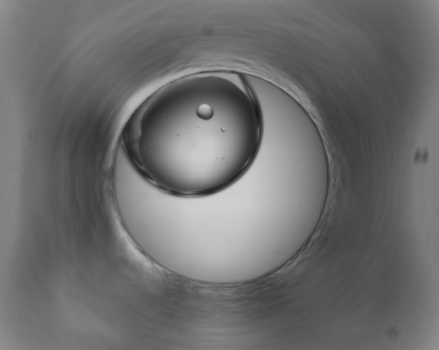 X0000111031536200906251253