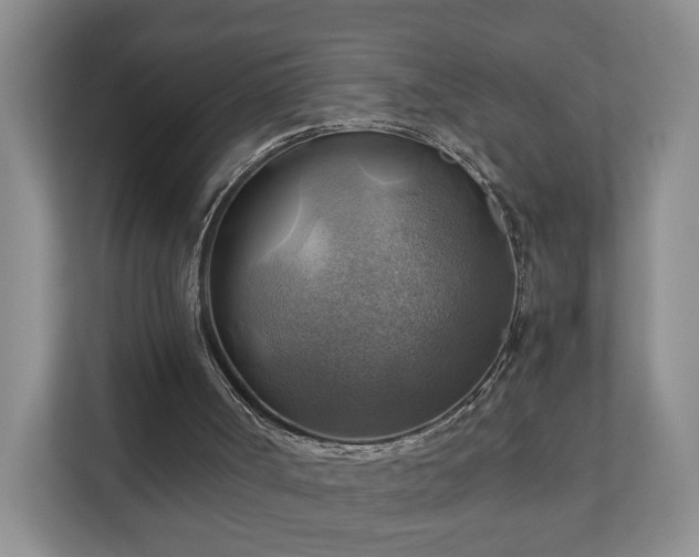 X0000111030002200907021547