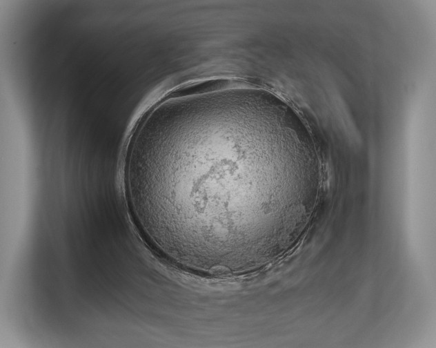 X0000111030004200907021547