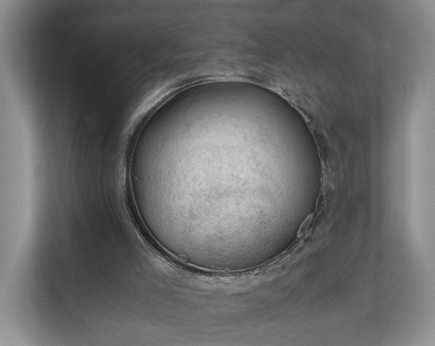 X0000111030005200907021547