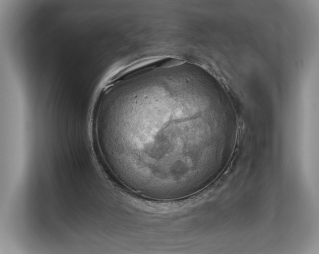 X0000111030006200907021547