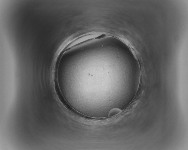 X0000111030007200907021547