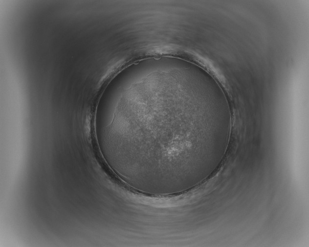 X0000111030010200907021547