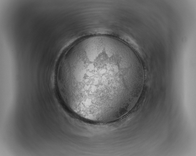 X0000111030012200907021547
