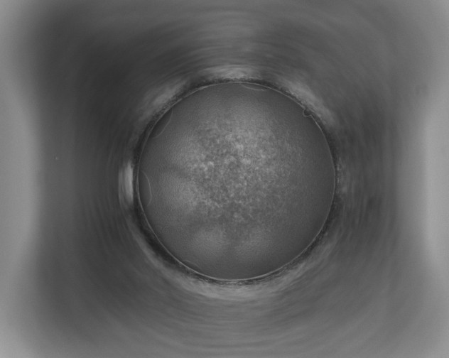 X0000111030014200907021547