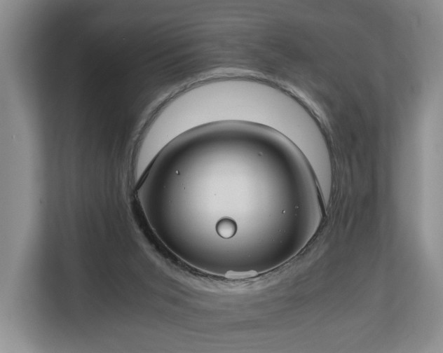 X0000111030015200907021547