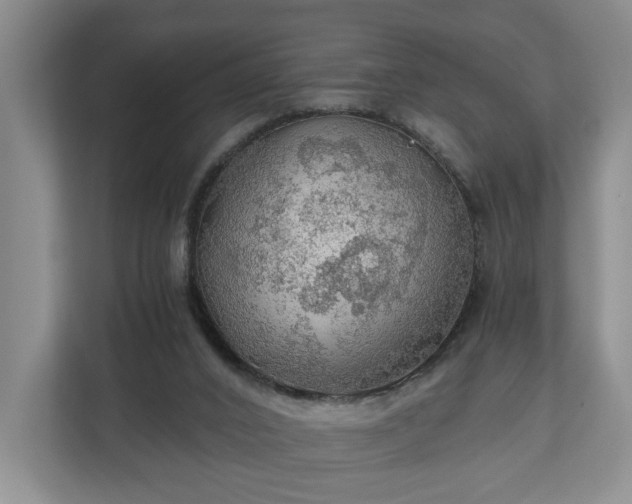 X0000111030016200907021547