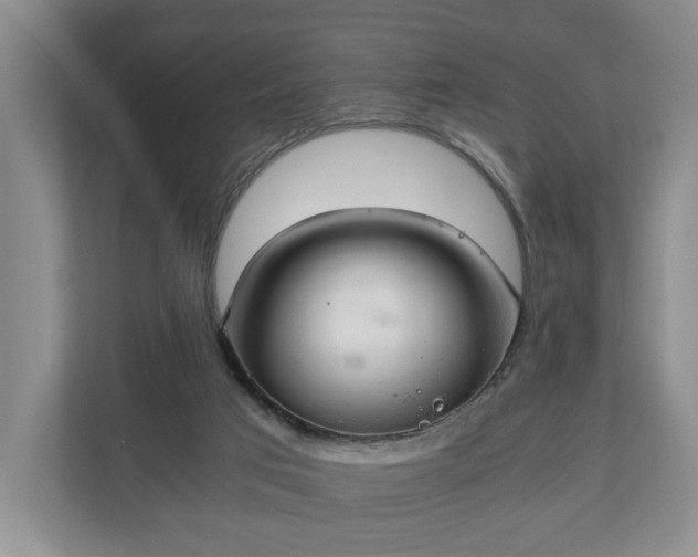 X0000111030017200907021547
