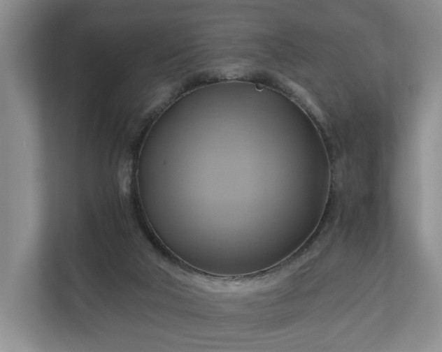 X0000111030018200907021547