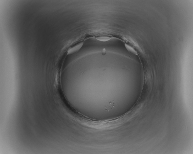 X0000111030023200907021547