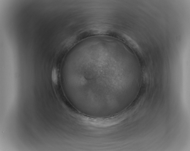 X0000111030026200907021547
