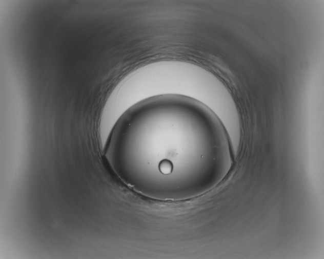 X0000111030029200907021547