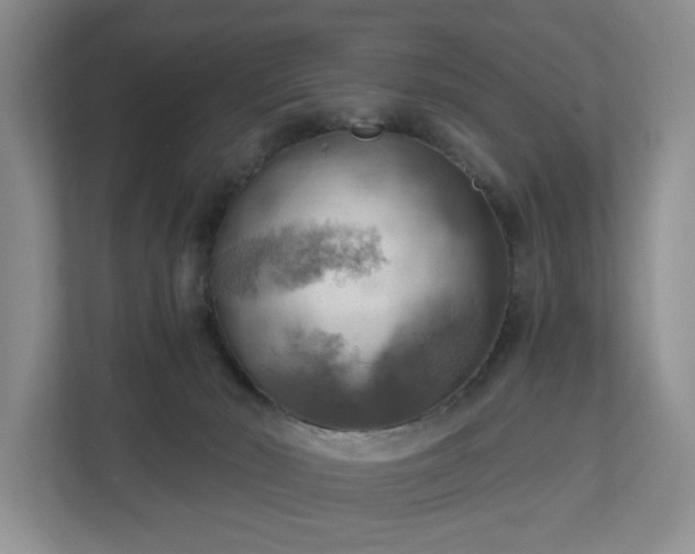 X0000111030030200907021547