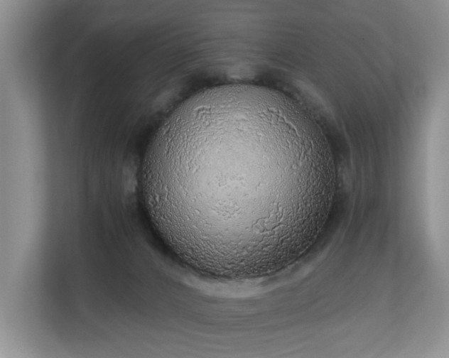 X0000111030032200907021547
