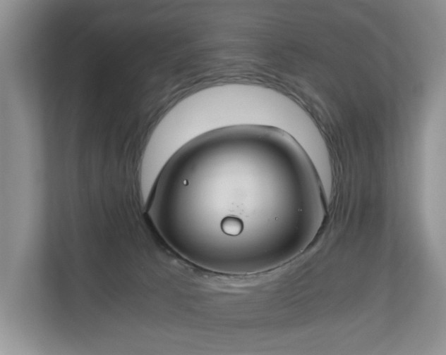 X0000111030033200907021547