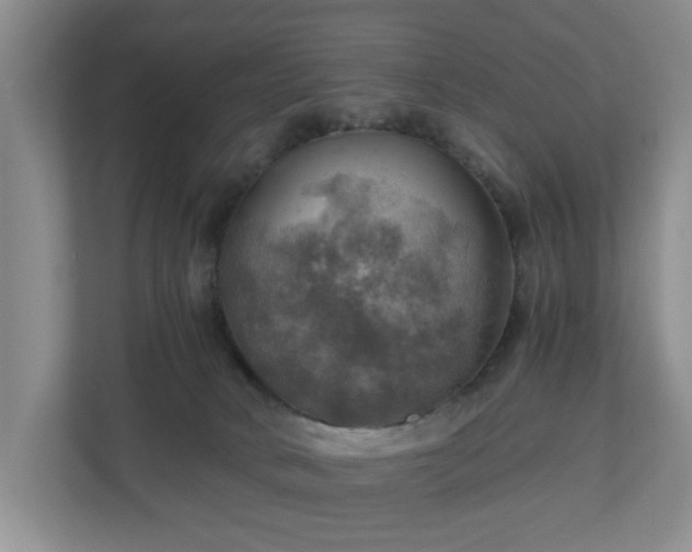 X0000111030034200907021547