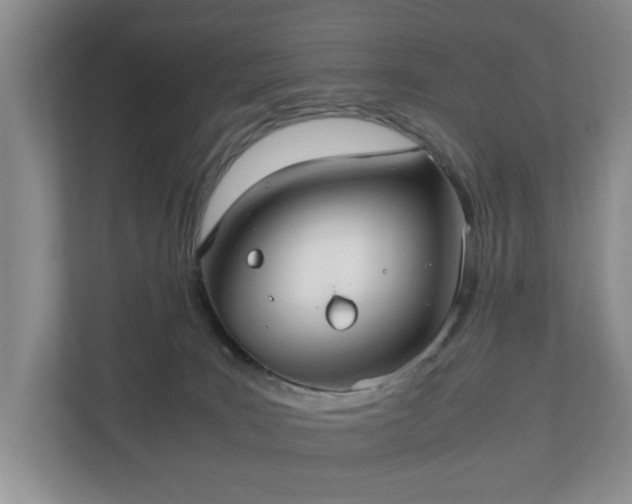 X0000111030035200907021547