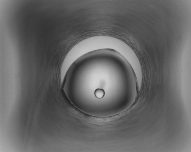 X0000111030037200907021547