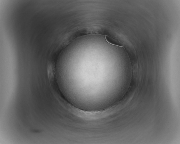 X0000111030038200907021547
