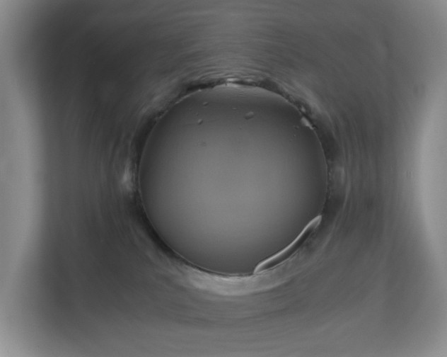 X0000111030039200907021547