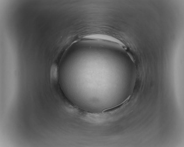 X0000111030041200907021547
