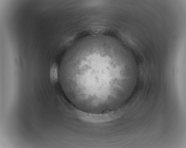 X0000111030042200907021547