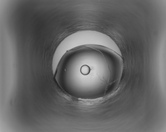 X0000111030045200907021547