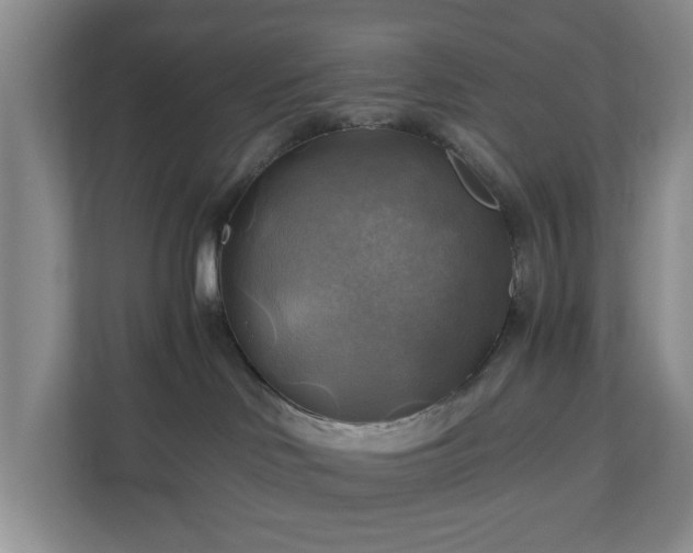 X0000111030046200907021547