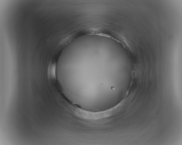 X0000111030047200907021547