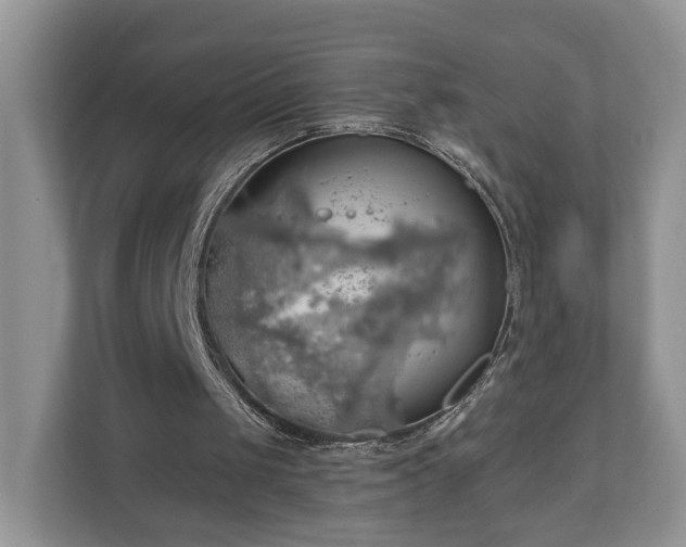 X0000111030049200907021546