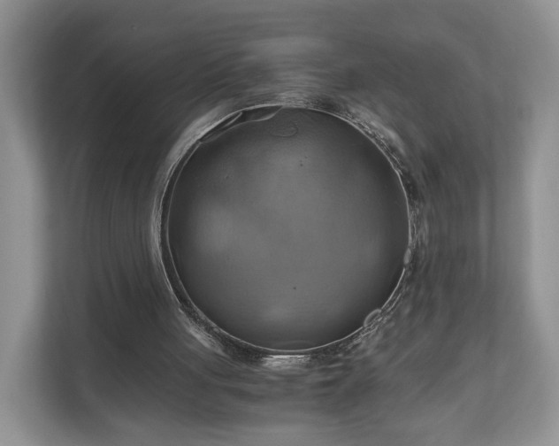 X0000111030051200907021546