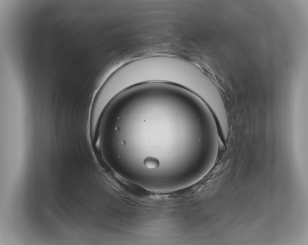 X0000111030052200907021546