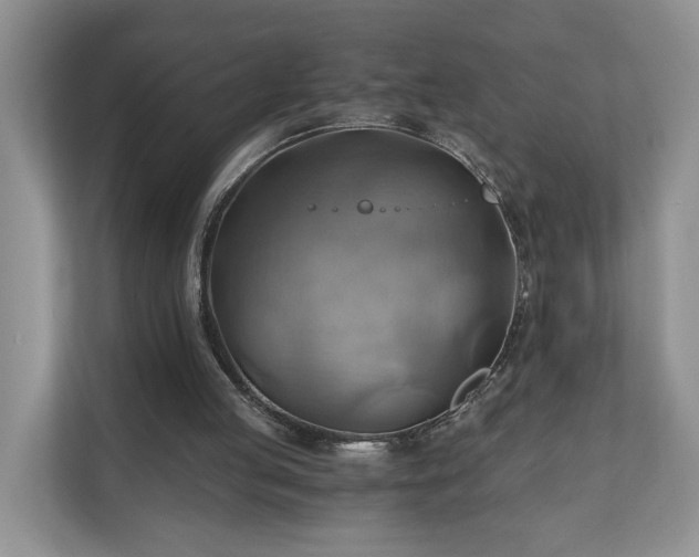 X0000111030053200907021546