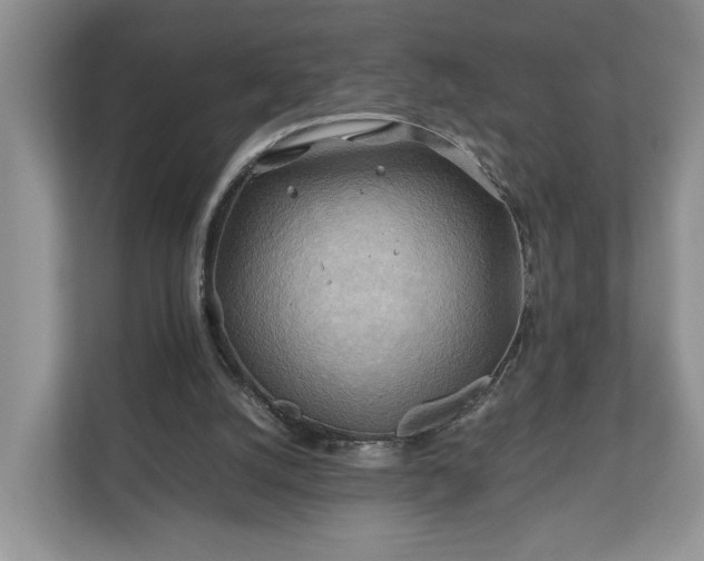 X0000111030056200907021546
