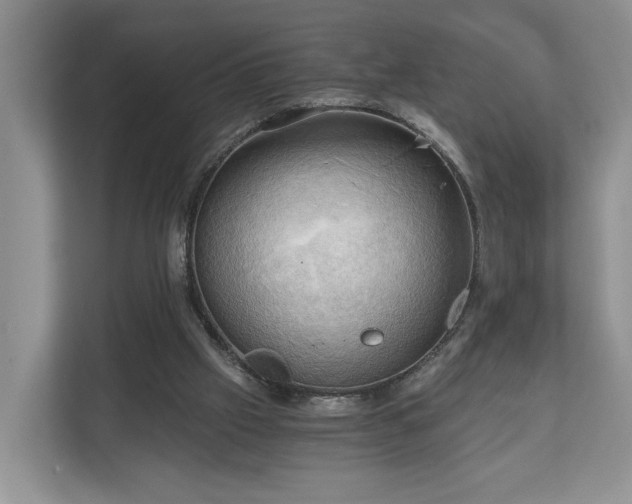 X0000111030057200907021546