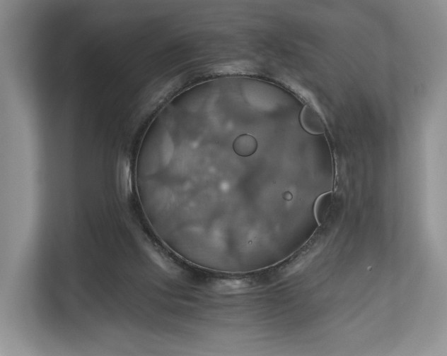 X0000111030061200907021546