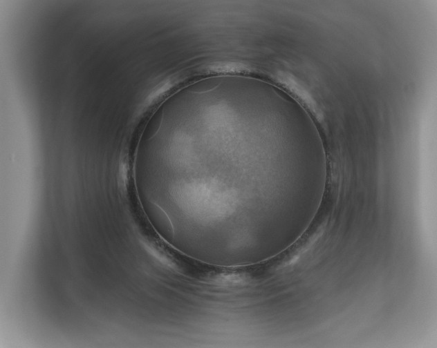 X0000111030063200907021546