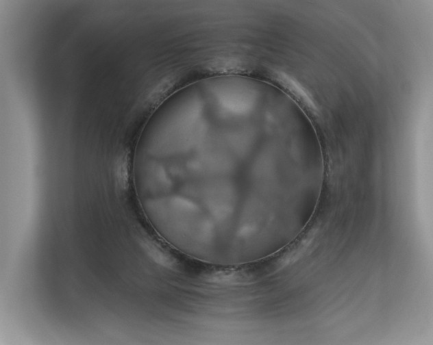 X0000111030065200907021546