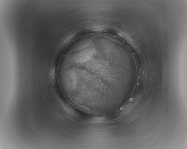 X0000111030066200907021546