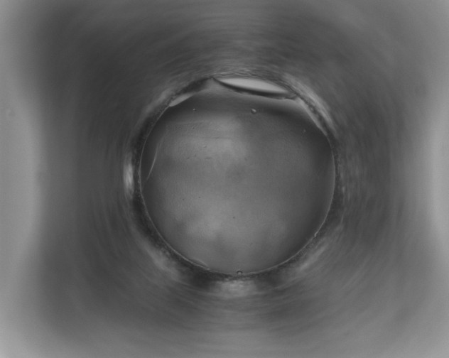X0000111030067200907021546