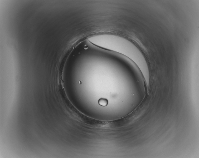 X0000111030068200907021546