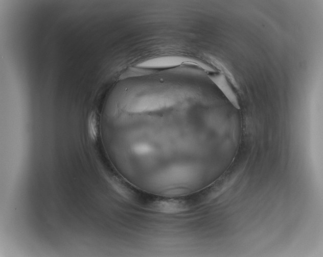 X0000111030069200907021546
