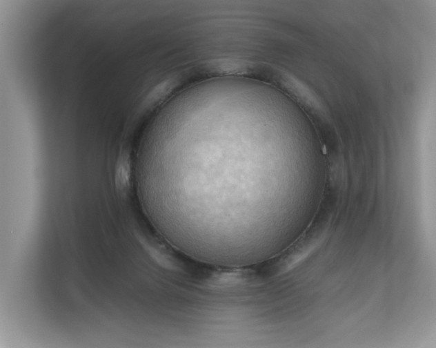 X0000111030072200907021546
