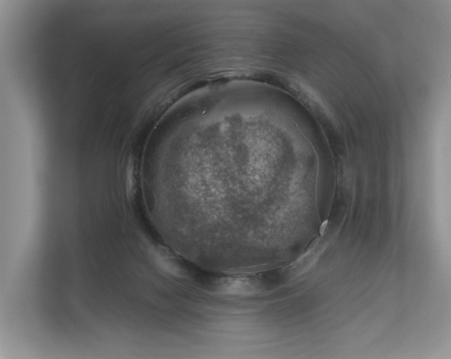 X0000111030074200907021546