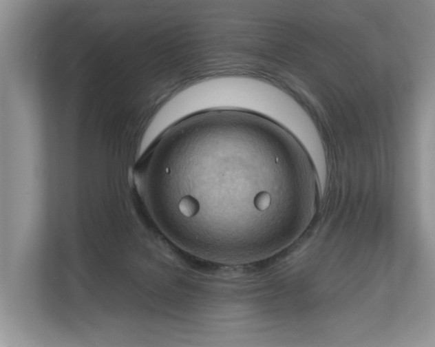 X0000111030076200907021547