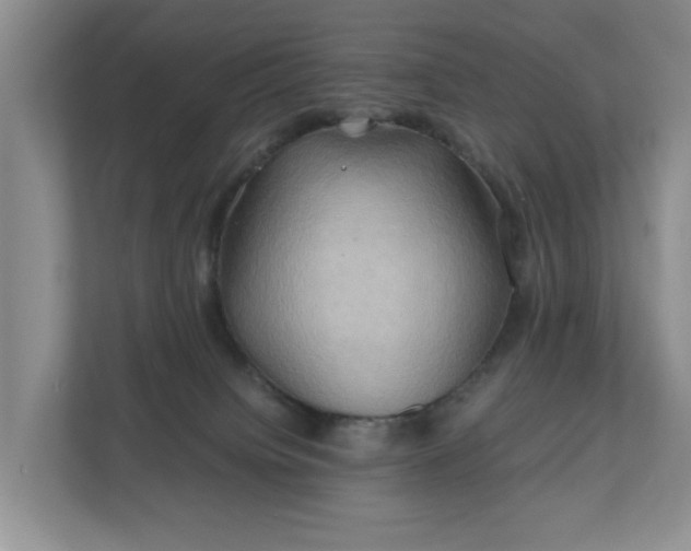 X0000111030084200907021547