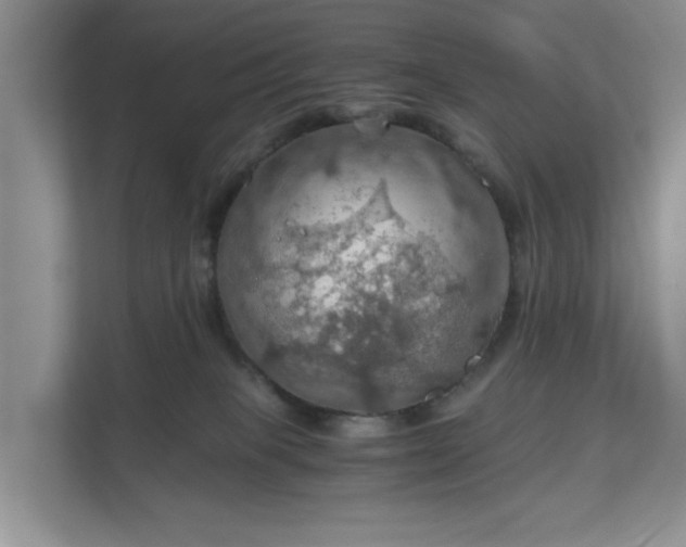X0000111030085200907021547