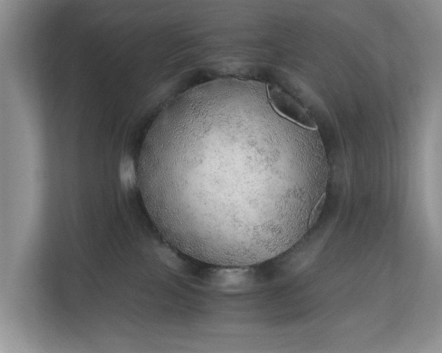 X0000111030089200907021547