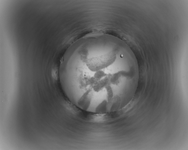 X0000111030090200907021547