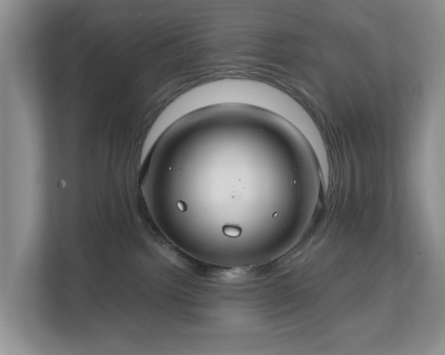 X0000111030092200907021547